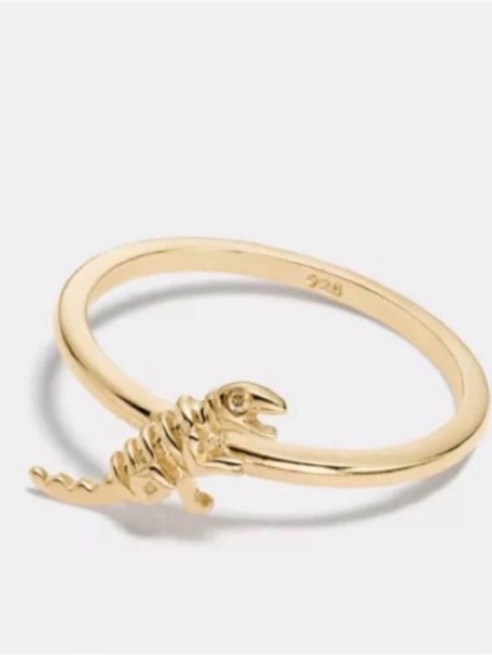 COACH Rexy Ring 🦖
